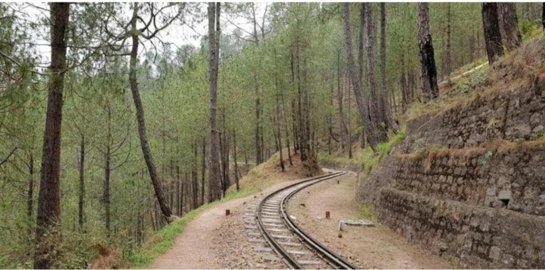 Mountain Mist Inn I Serviced Apt I Open Air Lawn & Rooftop I Bonfire I By Exotic Stays Kasauli Luaran gambar